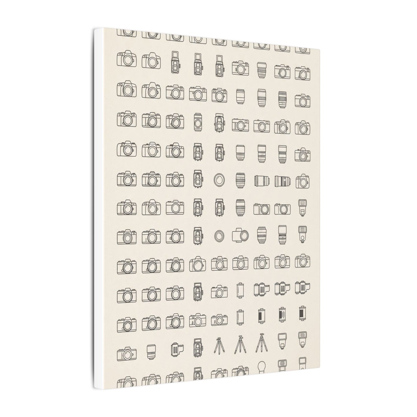 Camera Collector Chart Canvas Wall Art