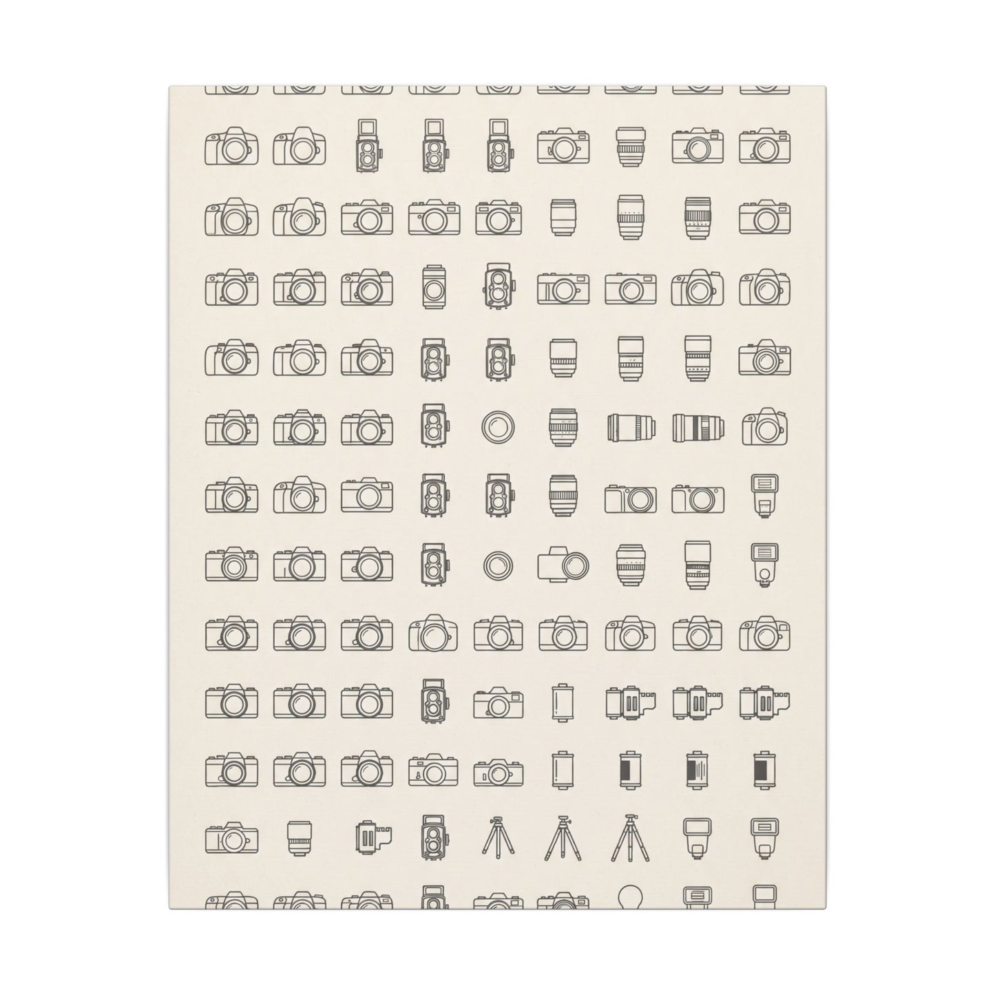 Camera Collector Chart Canvas Wall Art