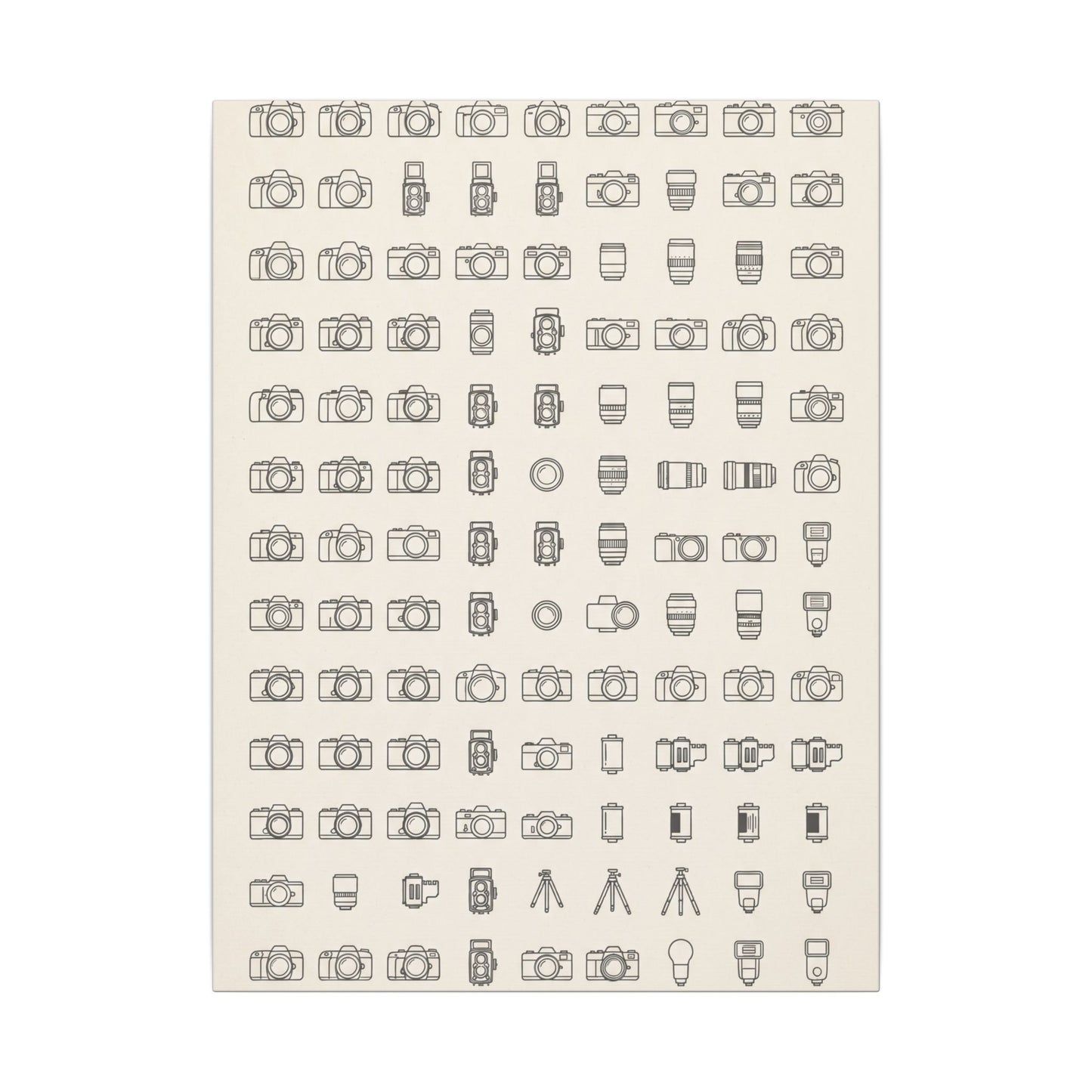 Camera Collector Chart Canvas Wall Art