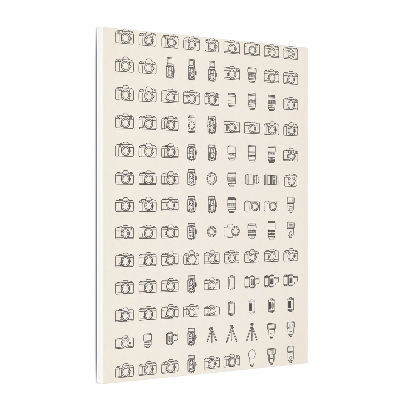 Camera Collector Chart Canvas Wall Art