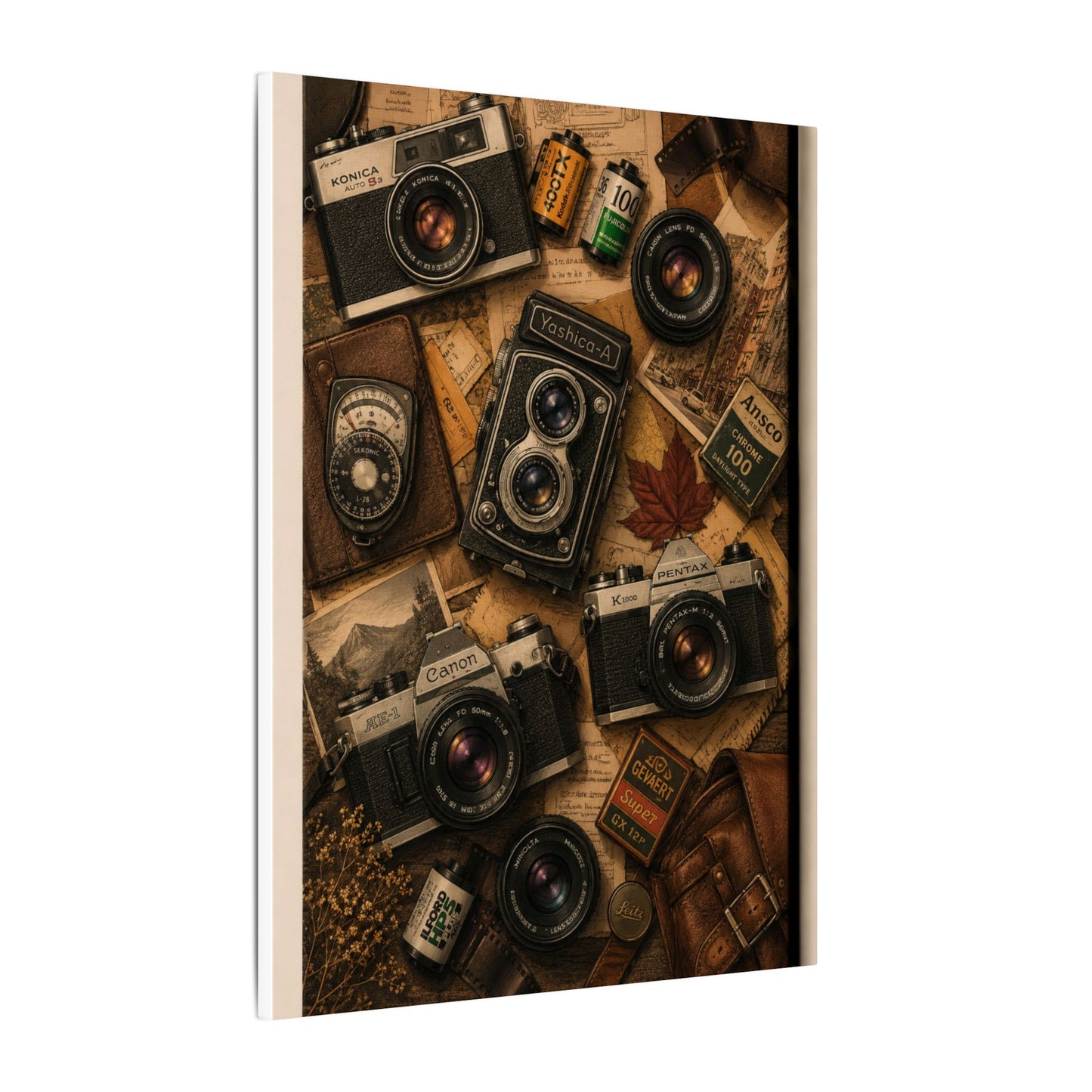 Vintage Camera Flat-Lay Canvas Wall Art