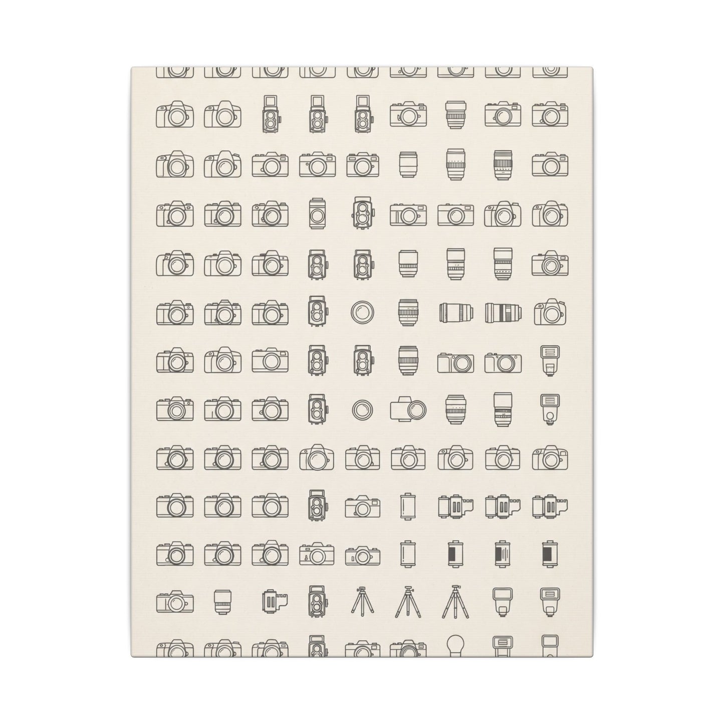Camera Collector Chart Canvas Wall Art