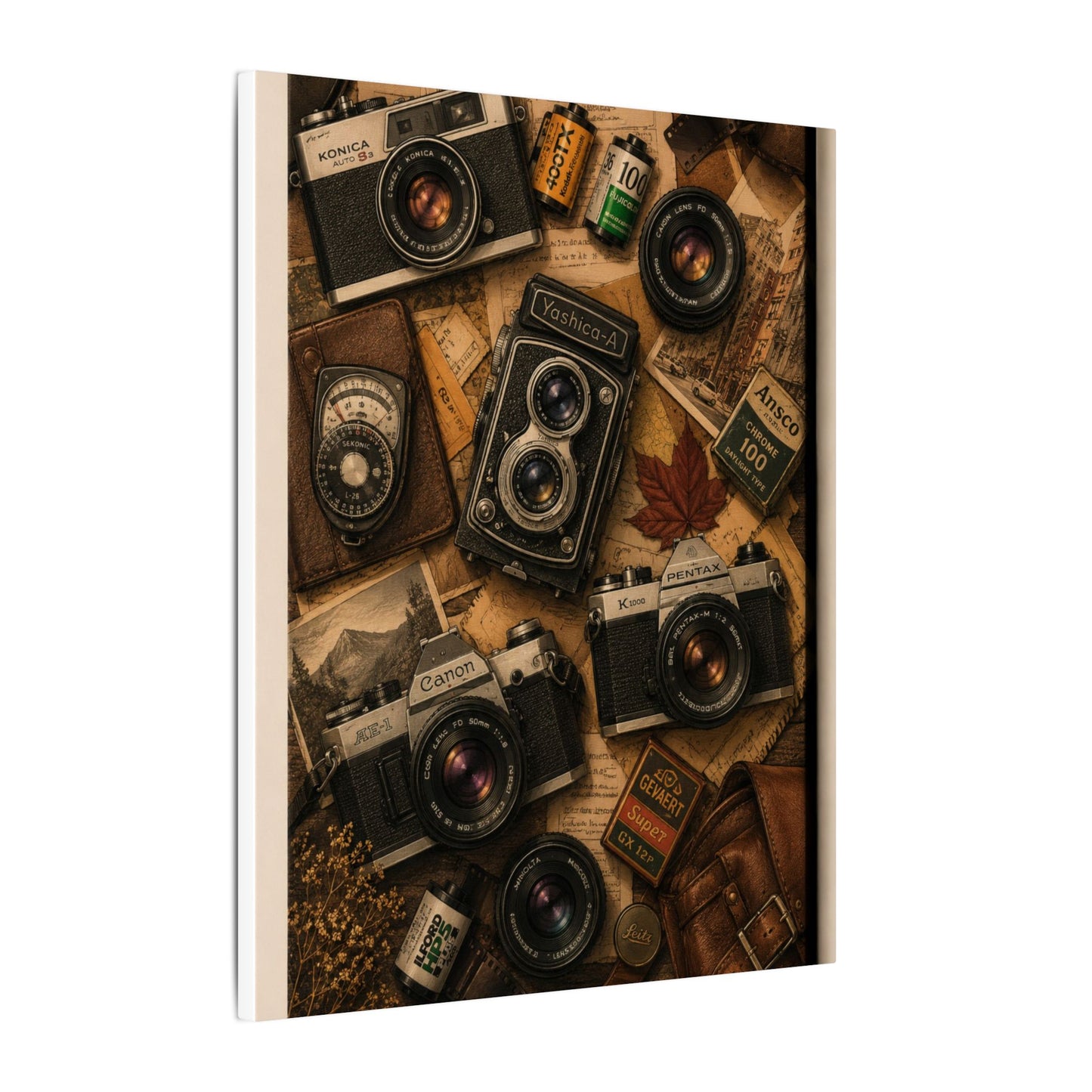 Vintage Camera Flat-Lay Canvas Wall Art