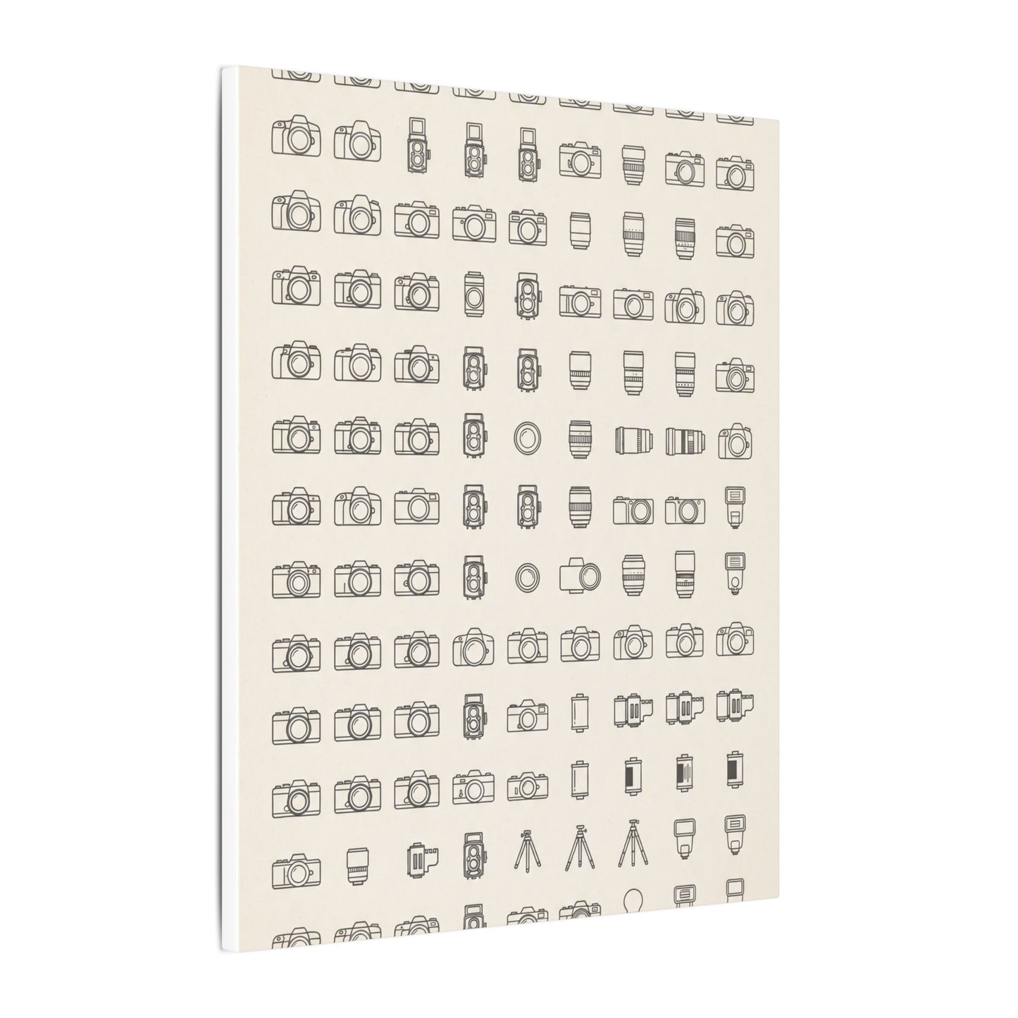 Camera Collector Chart Canvas Wall Art