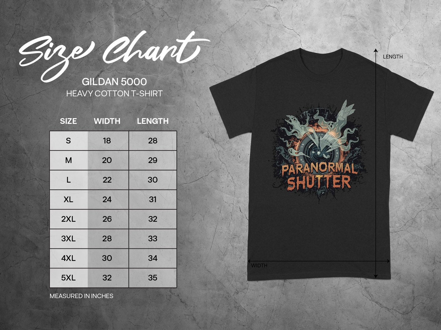 Paranormal Shutter Graphic Print T-Shirt